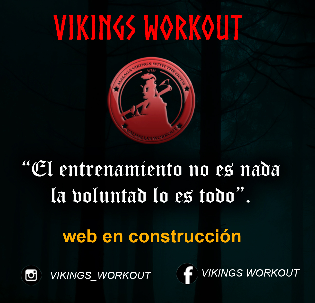 vikingsworkout.com